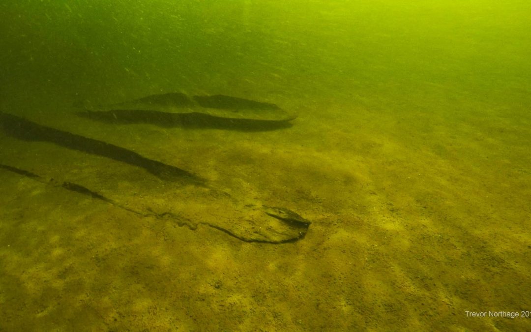 The Annaghkeen Boat