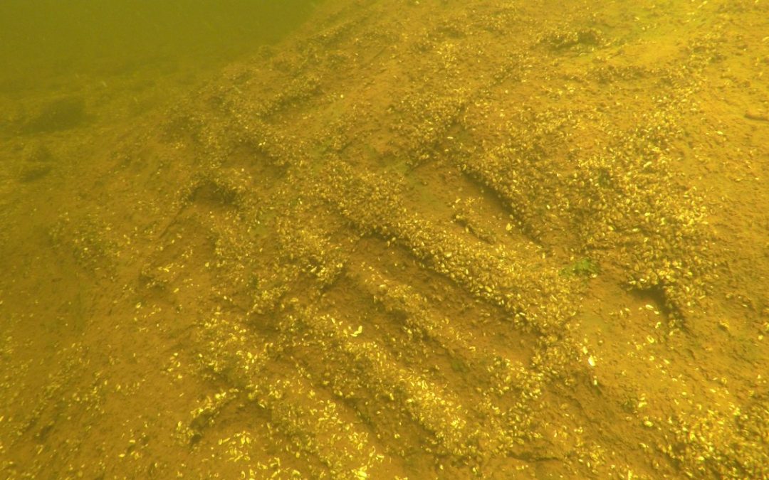 Cornamona Wreck