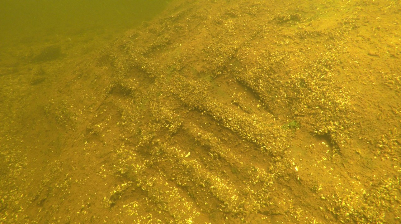 Cornamona wreck 6