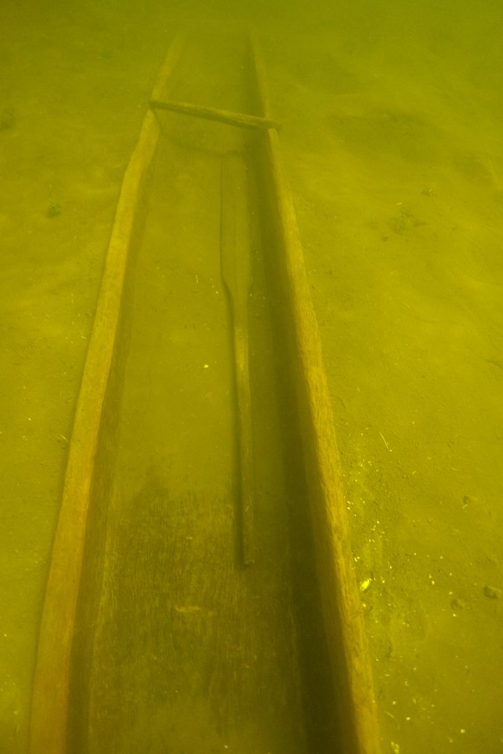 Lees Island 5 Logboat - Oar / Paddle