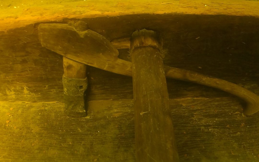 Lees Island 5 Logboat