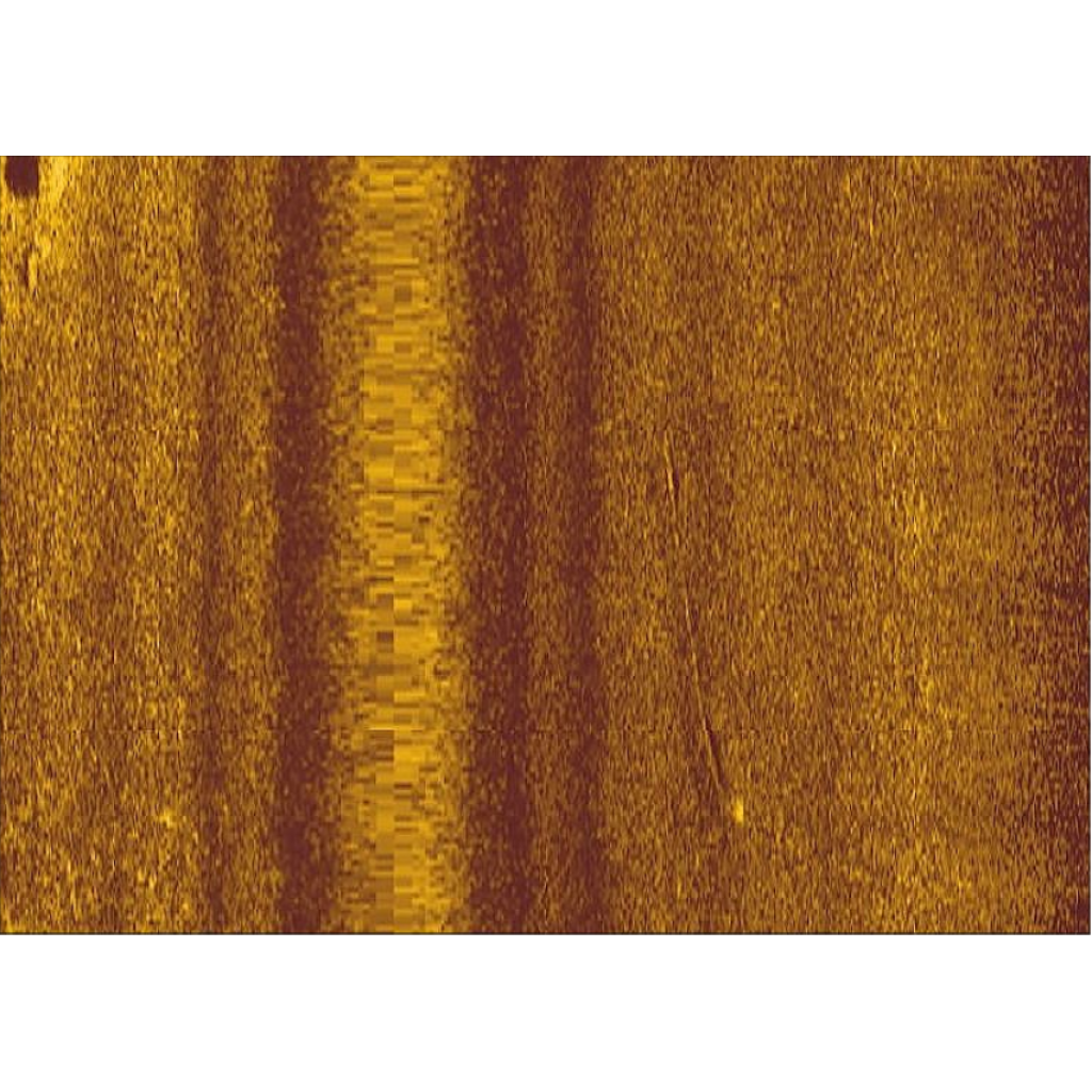 Sonar trace of the boat before the dive investigation. The bright spot near the bow of the vessel (near the bottom of the image) was later identified as the sonar return from the axes, deep under the sediment. (Trevor Northage)