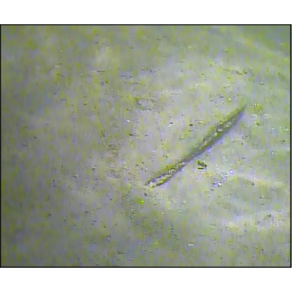 The first video from the Burlesques camera revealed just a small section of hull visible above the sediment. (Trevor Northage)
